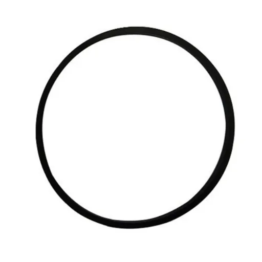 Oring Carburator Briggs-Stratton 693981