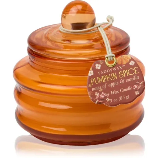 Paddywax Pumpkin Spice lumânare parfumată 58 g