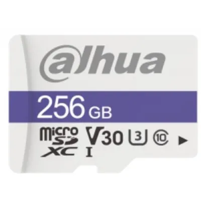 Card de memorie microSD Dahua TF-C100/256GB, clasa 10, 95 MB/s, U3