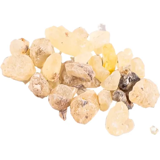 Jungle Way Oman Standard tamaie 20 g