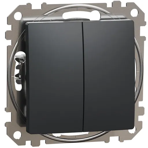 Intrerupator dublu 10A Schneider Sedna Design SDD114105, antracit