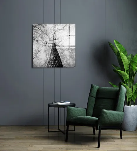 Tablou decorativ, 1296, Dimensiune: 60 x 60 cm, Multicolor