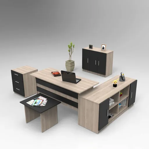 Set mobilier de birou, Hanah Home, Vo16-Ob, Stejar / Negru