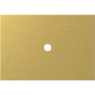 Modul Edge Rama metal auriu 1/3M pt pin, TEM Modul TEM-OG13MZP-U