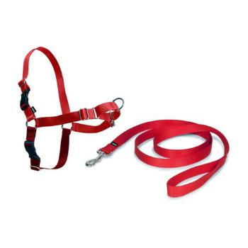 PetSafe Harness EasyWalk roșu L