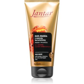 Farmona Jantar Amber Essence mască regeneratoare pentru părul deteriorat 200 ml