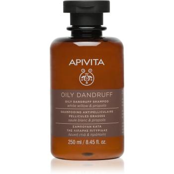 Apivita Dandruff Oily Dandruff Shampoo sampon anti-matreata pentru par gras 250 ml