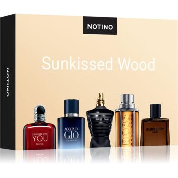 Beauty Discovery Box Notino Sunkissed Wood set pentru bărbați