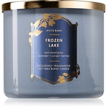 Bath & Body Works Frozen Lake lumânare parfumată 411 g