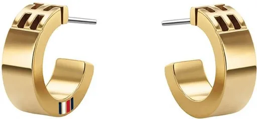 Tommy Hilfiger Cercei de lux, placați cu aur, în formă de cercuri TH2780418