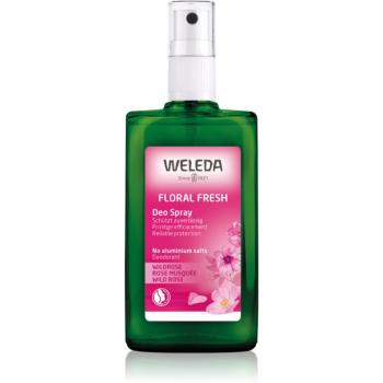 Weleda Rose deodorant 100 ml