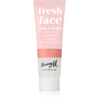 Barry M Fresh Face blush lichid și luciu de buze culoare Peach Glow 10 ml