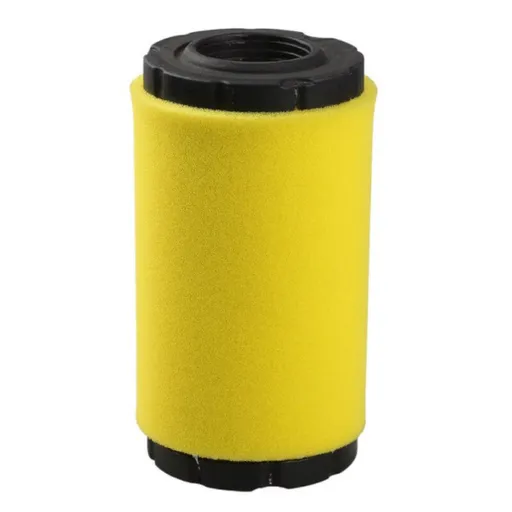 Filtru Aer Motor Briggs - Stratton 793569