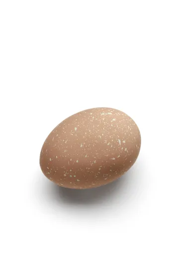 Decor ouă 2buc, culoare cafea - COOEE