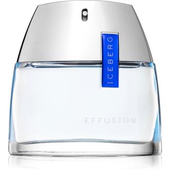 Iceberg Effusion Man Eau de Toilette pentru bărbați 75 ml