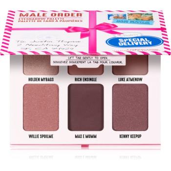 theBalm Male Order® Special Delivery paletă cu farduri de ochi 13,2 g