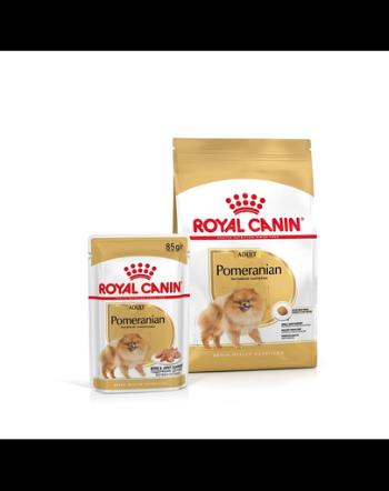 ROYAL CANIN Pomeranian Adult 3 kg + hrană umedă Pomeranian Adult 12x85g