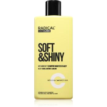 Farmona Hair Clinic Vitamin Gloss Shampoo sampon száraz hajra 300 ml