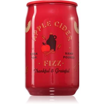 DW Home Soda Pop Apple Cider Fizz lumânare parfumată 176 g