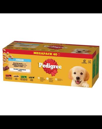 Plicuri PEDIGREE caini Junior Mix arome cu orez 40x100 g in aspic hrana umeda completa bucati vita, ficat si orez, cu pui si orez, cu miel, ficat si orez, cu pasare si orez