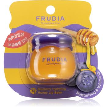 Frudia Honey Blueberry balsam de buze nutritie si hidratare 10 g