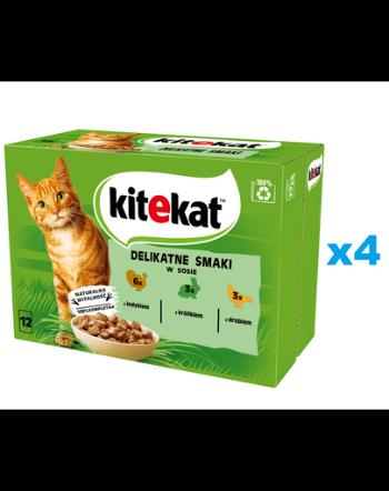 KITEKAT Delicate Flavours Pachet plicuri pentru pisica, curcan, iepure, pasare in sos  48x85 g