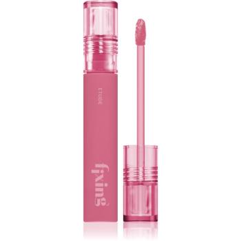 ETUDE Fixing Tint ruj cu persistență îndelungată cu efect mat culoare #10 Smoky Cherry 4 g