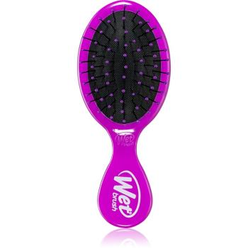 Wet Brush Mini perie de par calatorii Purple