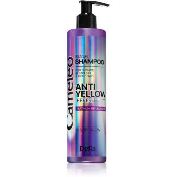 Delia Cosmetics Cameleo Silver șampon neutralizeaza tonurile de galben 250 ml