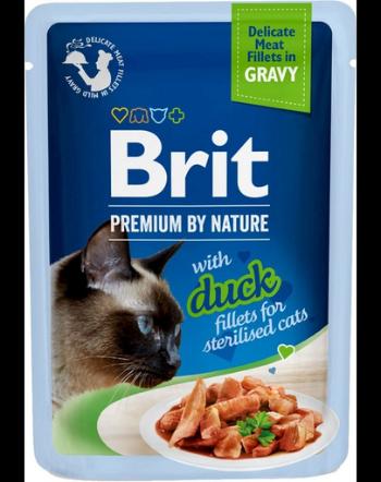 Hrana umeda pisici sterilizate BRIT Premium By Nature Fillets in Gravy for Sterilized Cats cu rata 24x85g