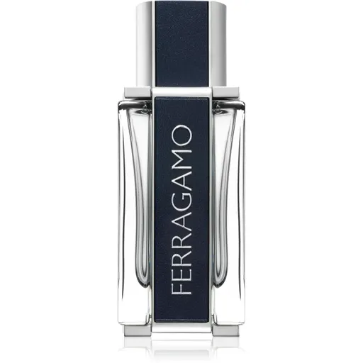 Ferragamo Ferragamo Eau de Toilette pentru bărbați 50 ml