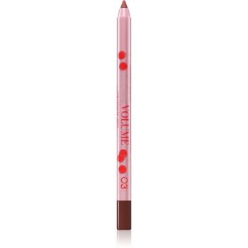Vivienne Sabó Le Grand Volume creion contur buze culoare 03 1.35 g