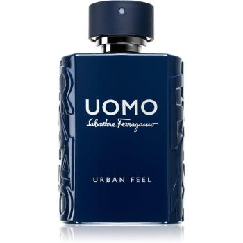 Ferragamo Uomo Urban Feel Eau de Toilette pentru bărbați 100 ml