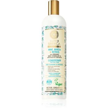 Natura Siberica Mint, Bereza & Retinol Balsam revigorant pentru par gras 400 ml