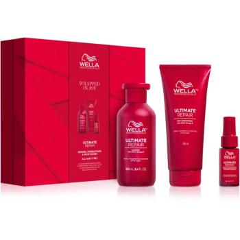 Wella Professionals Ultimate Repair set cadou pentru par deteriorat