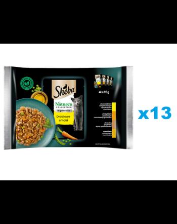 SHEBA Nature’s Collection in aspic 52x85 g hrana completa pentru pisici adulte cu: pui, curcan si rata