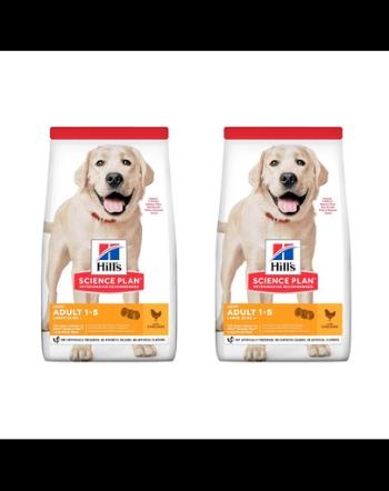 HILL'S Science Plan Canine Adult Light Large breed Chicken hrana caini talie mare 36 kg (2x18 kg) cu pui