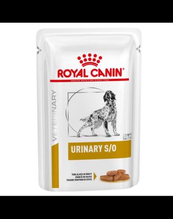 ROYAL CANIN VET Dog Urinary 24x100 g hrana umeda dietetica