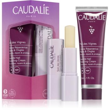 Caudalie Thé Des Vignes set cadou nutritie si hidratare II.