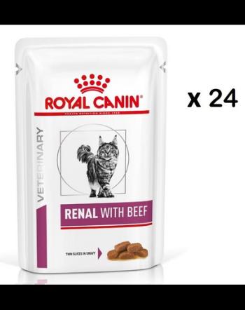 ROYAL CANIN Renal Feline carne de vită 24 x 85 g hrană umedă pentru pisici cu insuficiență renală cronică