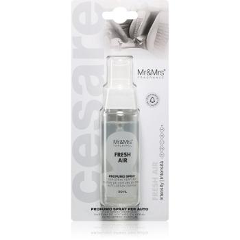 Mr & Mrs Fragrance Cesare Fresh Air odorizant de camera pentru mașină 50 ml