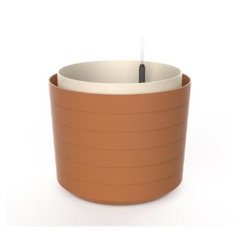 Plastia Plantă de volum mare cu auto-apărareBerberis 55, teracotă + fildeș, teracotă
