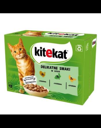 KITEKAT Delicate Flavours in sos 12x85g hrana umeda pisici, din curcan, iepure, pasare
