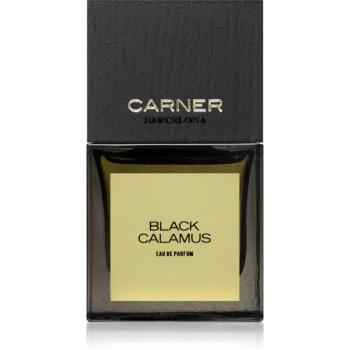 Carner Barcelona Black Calamus Eau de Parfum unisex 50 ml