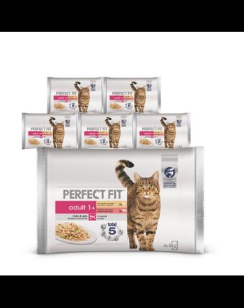 Plicuri pisici PERFECT FIT Adult 24x85g hrana umeda pentru pisici in sos (pui si mazare, vita si morcovi)