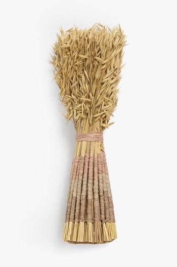 Sušené stonky Calma House Raphia 38-40 cm