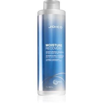 Joico Moisture Recovery sampon hidratant pentru par uscat 1000 ml