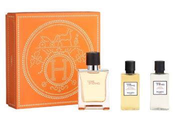Hermes Terre D´ Hermes - EDT 50 ml + gel de duș 40 ml + aftershave 40 ml