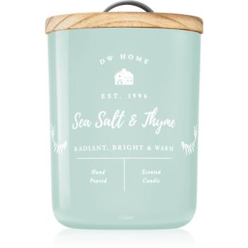 DW Home Farmhouse Sea Salt & Thyme lumânare parfumată 107 g