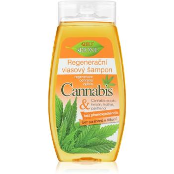 Bione Cosmetics Cannabis sampon pentru regenerare 260 ml